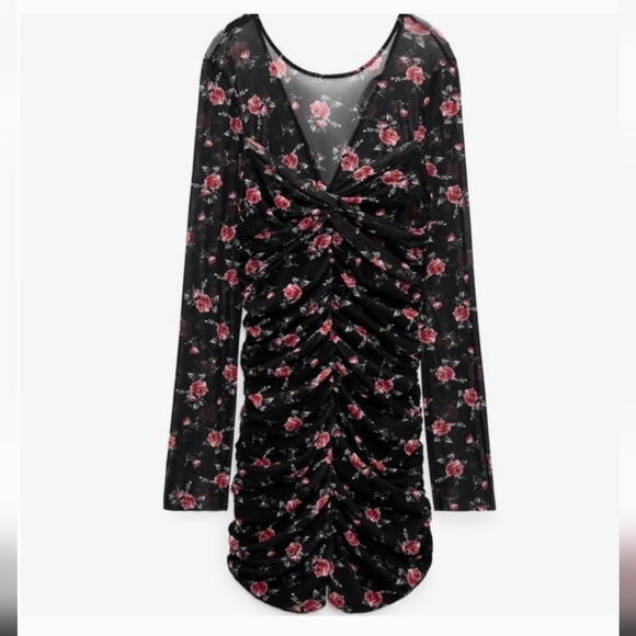 Zara Ruched Tulle Rose Pattern Dress with Mesh Long Sleeves - Picture 5 of 14